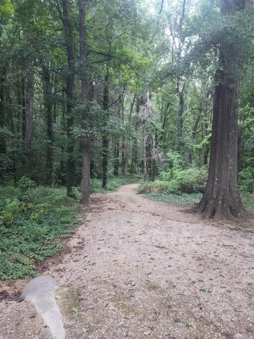 Ferienwohnung Spotless 4Br Near Clt Uptown, Fast Wi-Fi Charlotte Exterior foto